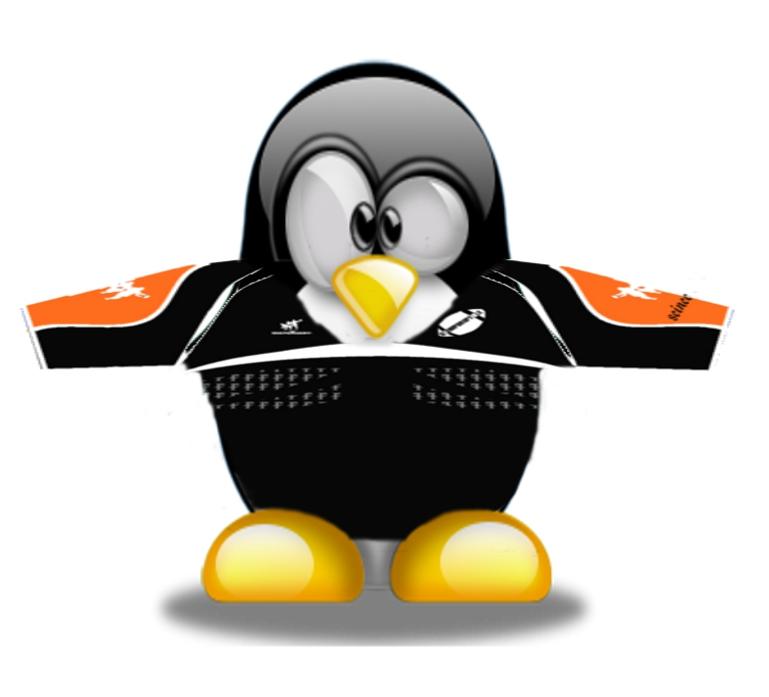 cui nouveau maillot -