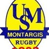 Montargis : club niveau F3 cherche joueurs